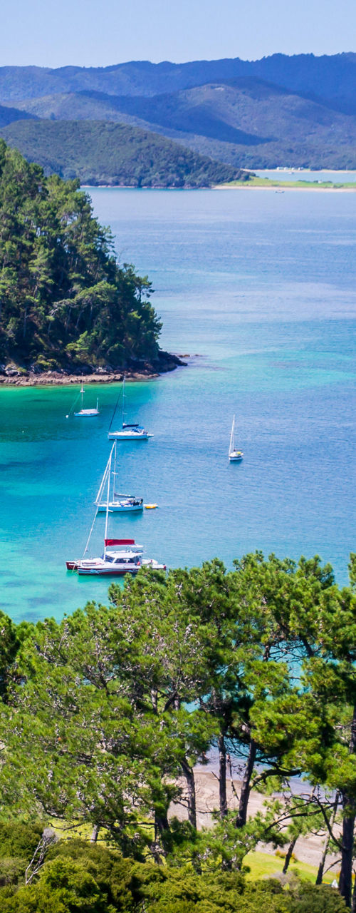 Scenic bay with yachts and lush greenery