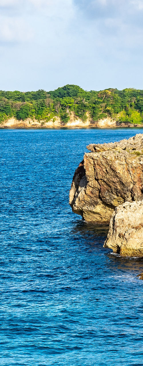 Rocky coastline with lush greenery and blue sea