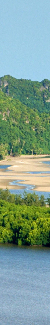 Scenic tropical coastline with lush greenery