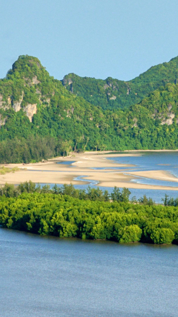 Scenic tropical coastline with lush greenery