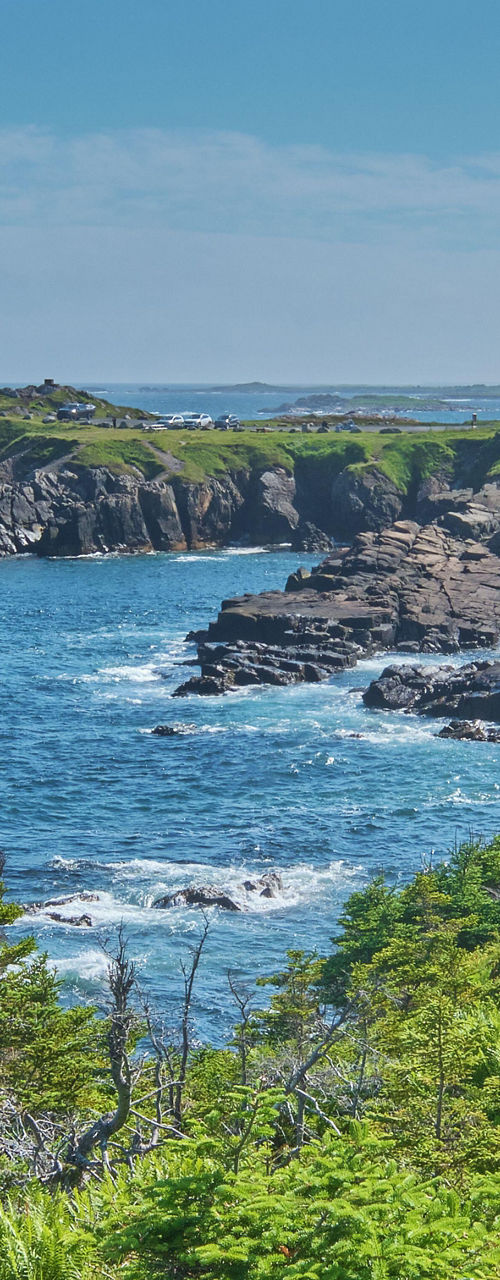 Coastal landscape with lighthouse and greenery