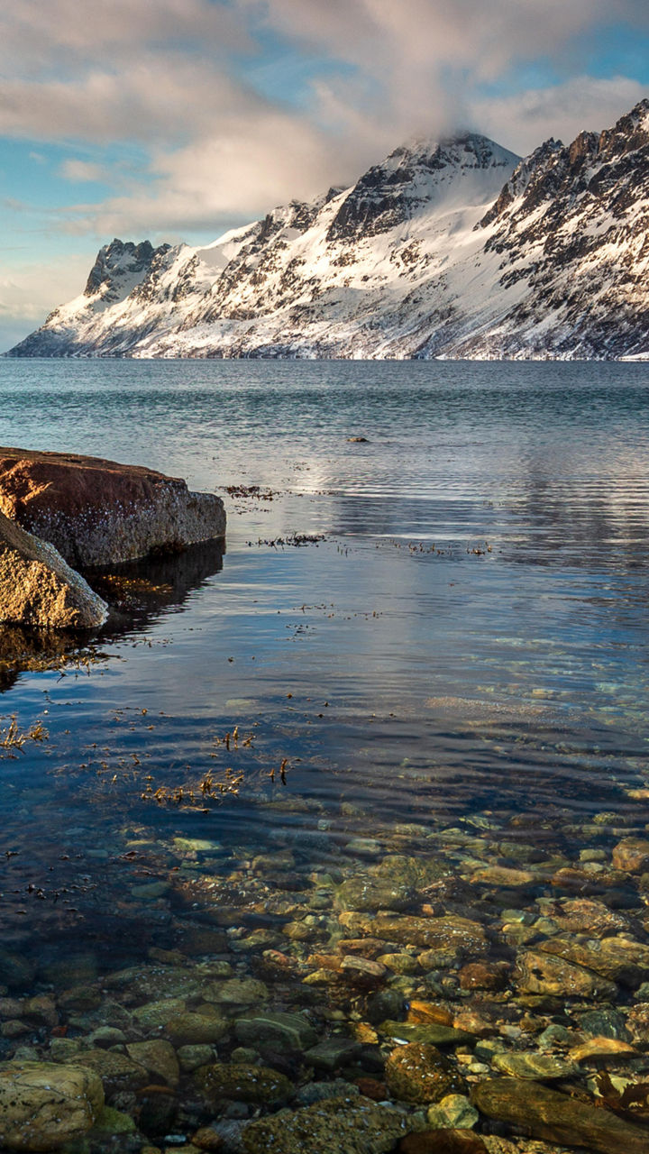 Arctic Fjord Sightseeing
