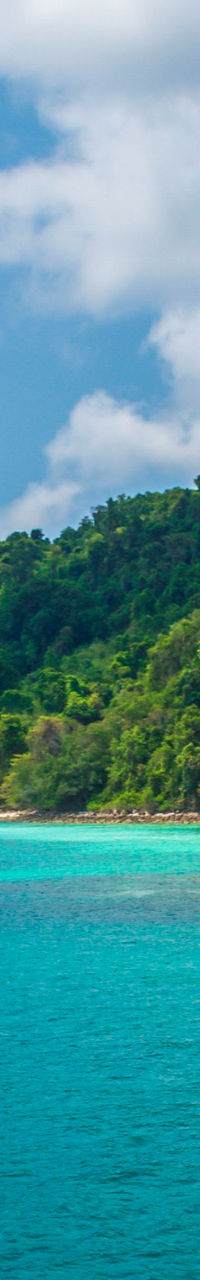 Tropical coastline with lush green hills