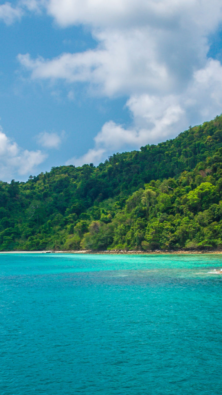 Tropical coastline with lush green hills