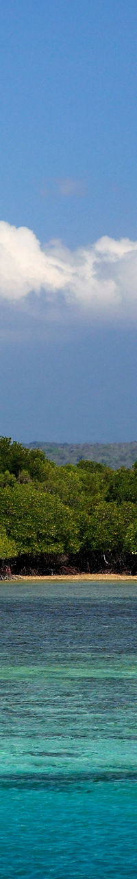 Tropical island with mountain backdrop
