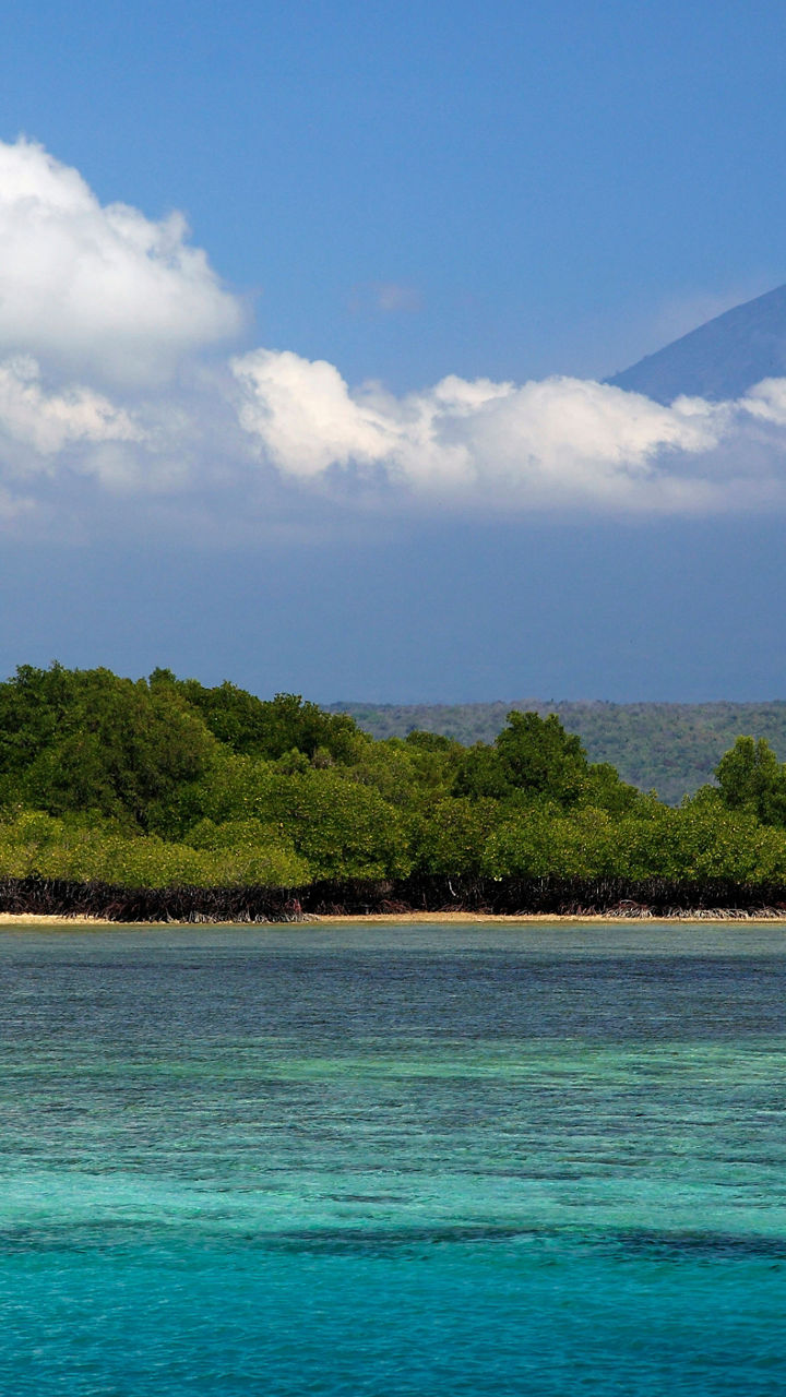 Tropical island with mountain backdrop