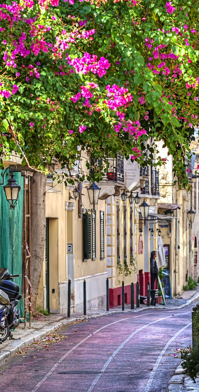 Charming alley with vibrant flowers