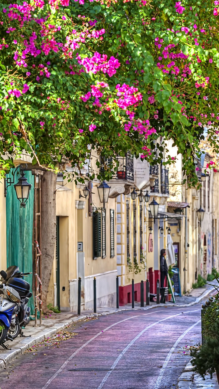Charming alley with vibrant flowers