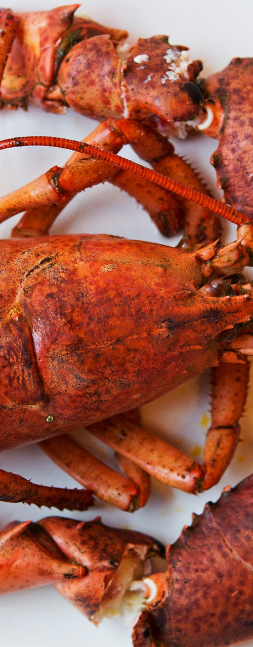 Cooked lobster served on white plate
