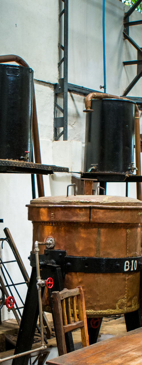 Industrial distillery with copper tanks