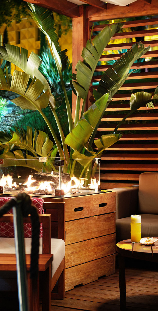 Cozy Outdoor Lounge with Tropical Decor