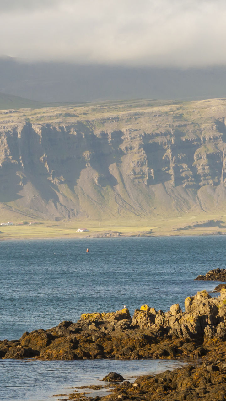 Berufjörður by RIB