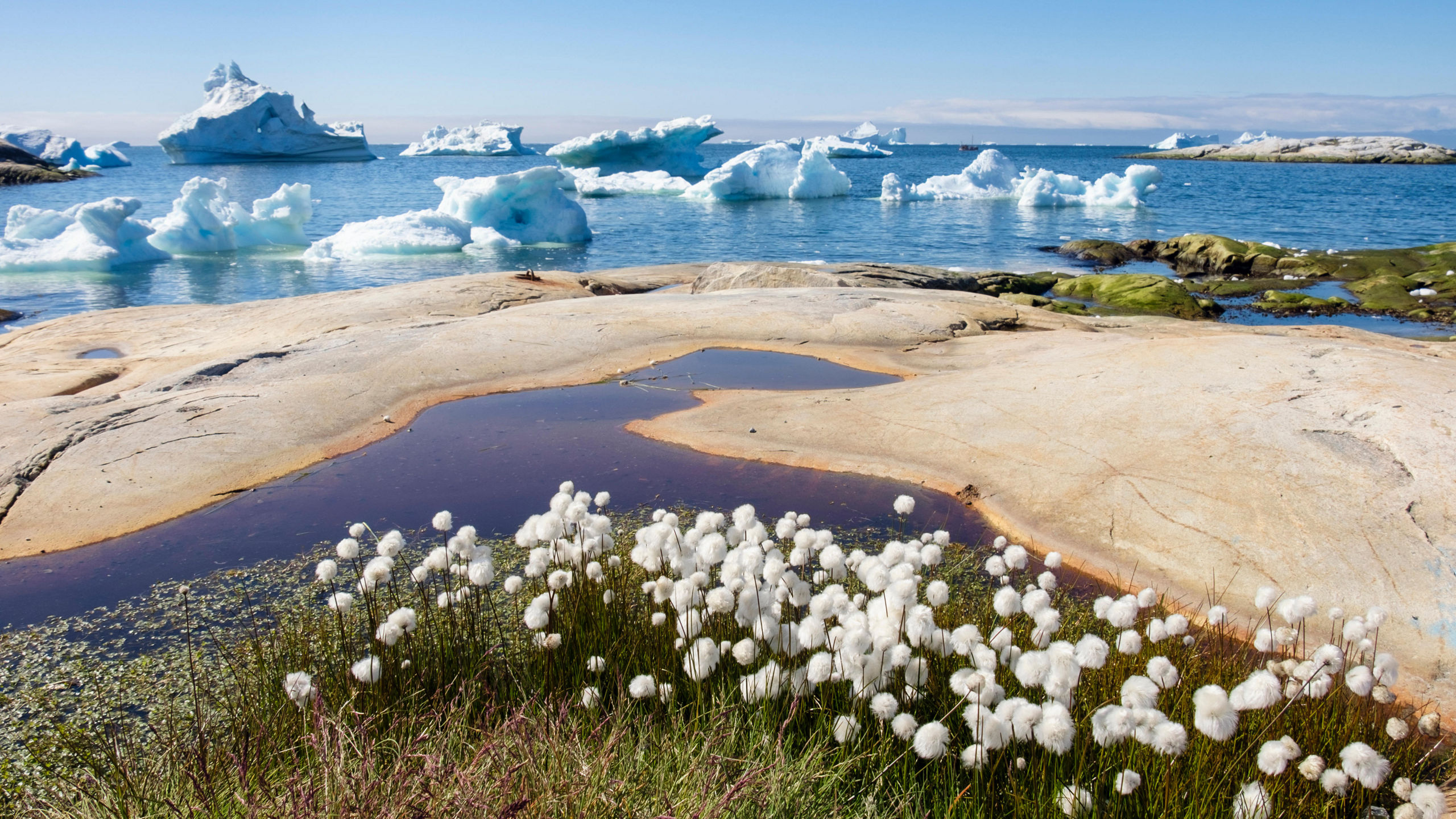 Into the Northwest Passage