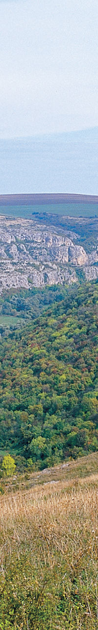 Scenic valley with rolling hills and cliffs