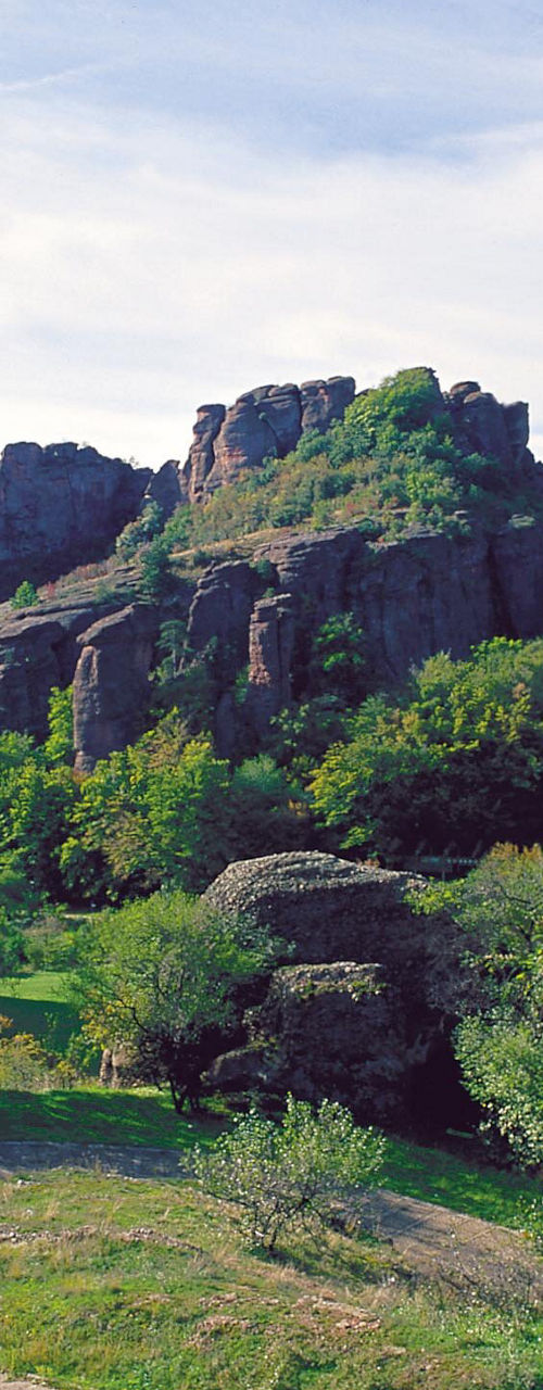Scenic Rocky Landscape with Greenery