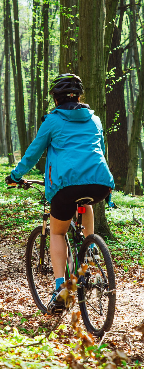 Cyclists riding through lush forest trail