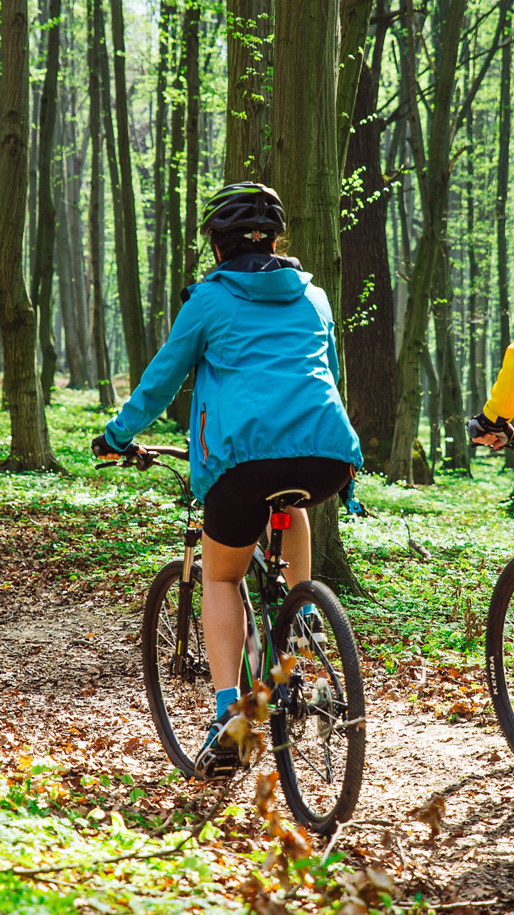 Coastal Forest by Bike