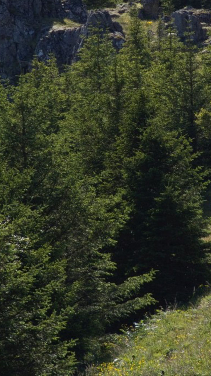 Hálsar Hike
