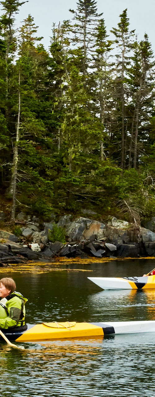 Two kayakers exploring scenic forested waters