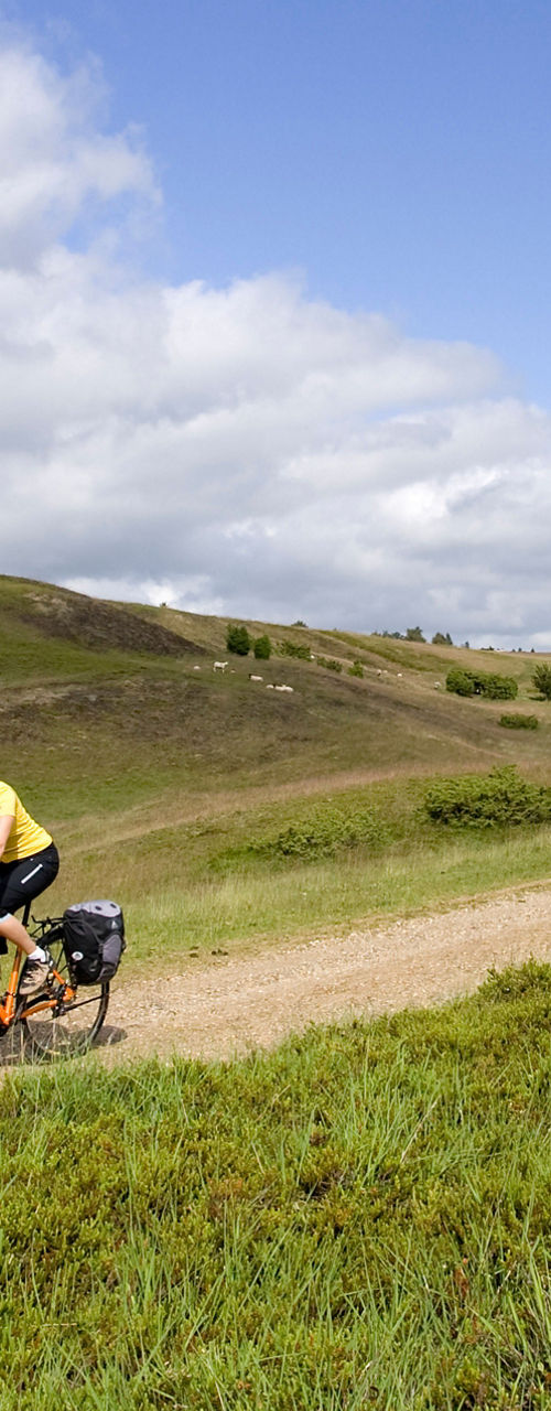 Cyclists riding on scenic dirt trail