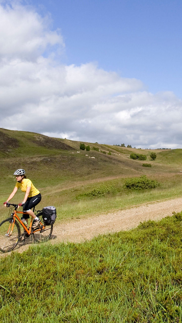 Ålborg Fjord by Bike