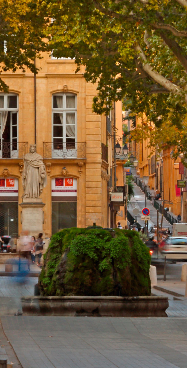 Tree-lined street with historic architecture