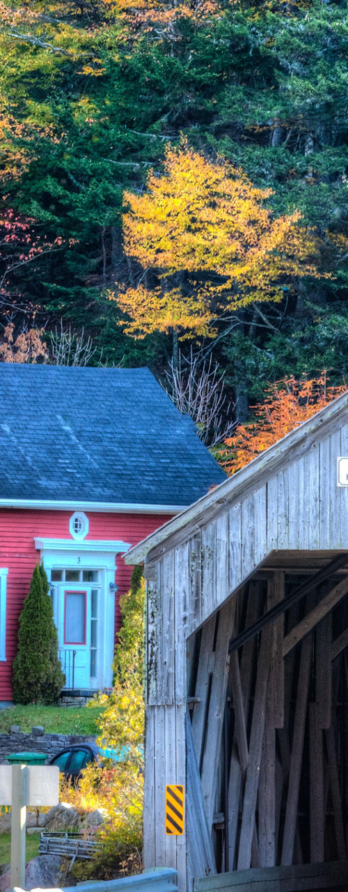 Rustic covered bridge with autumn foliage