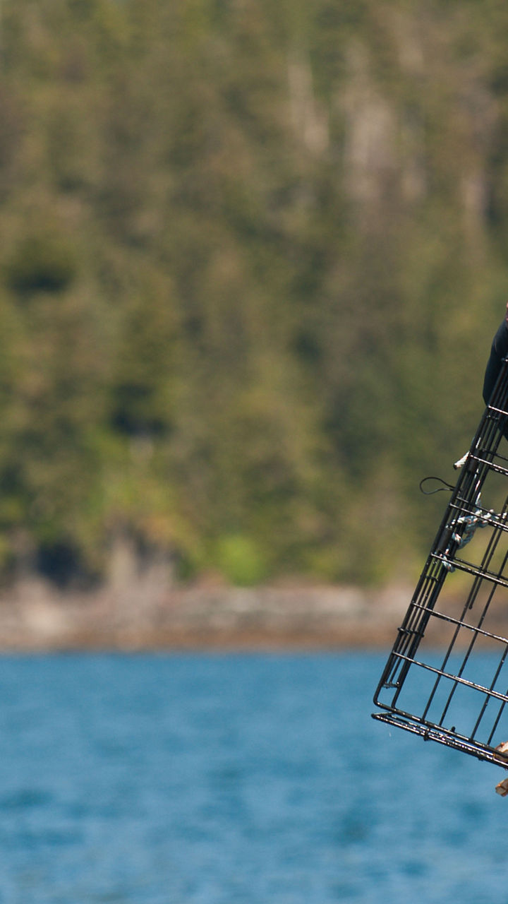 Alaskan Crab Catching