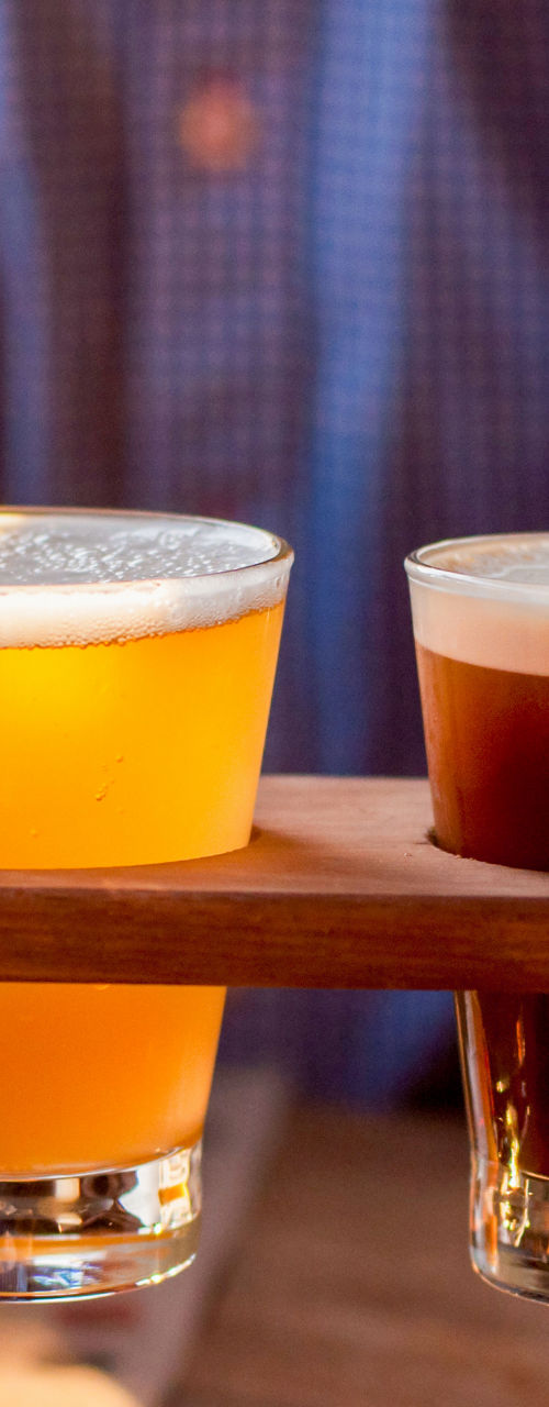 Beer flight with four craft samples