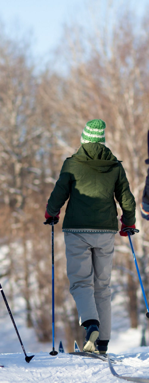 Group skiing in snowy forest landscape