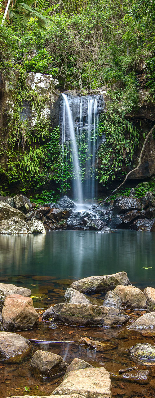 Serene waterfall in lush forest setting