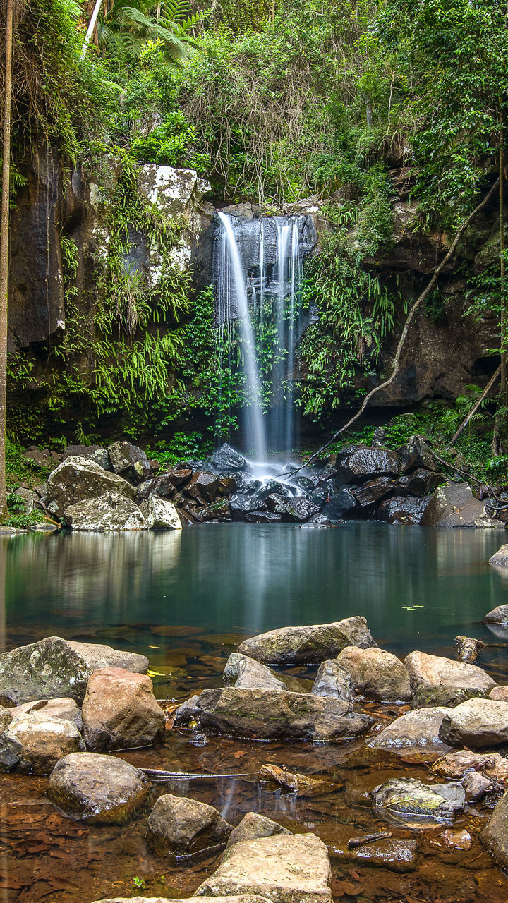 Tamborine Mountain Experience