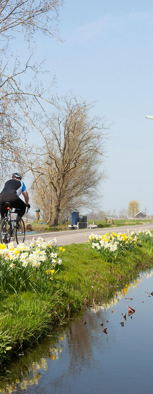 Cyclist on rural path with spring blossoms