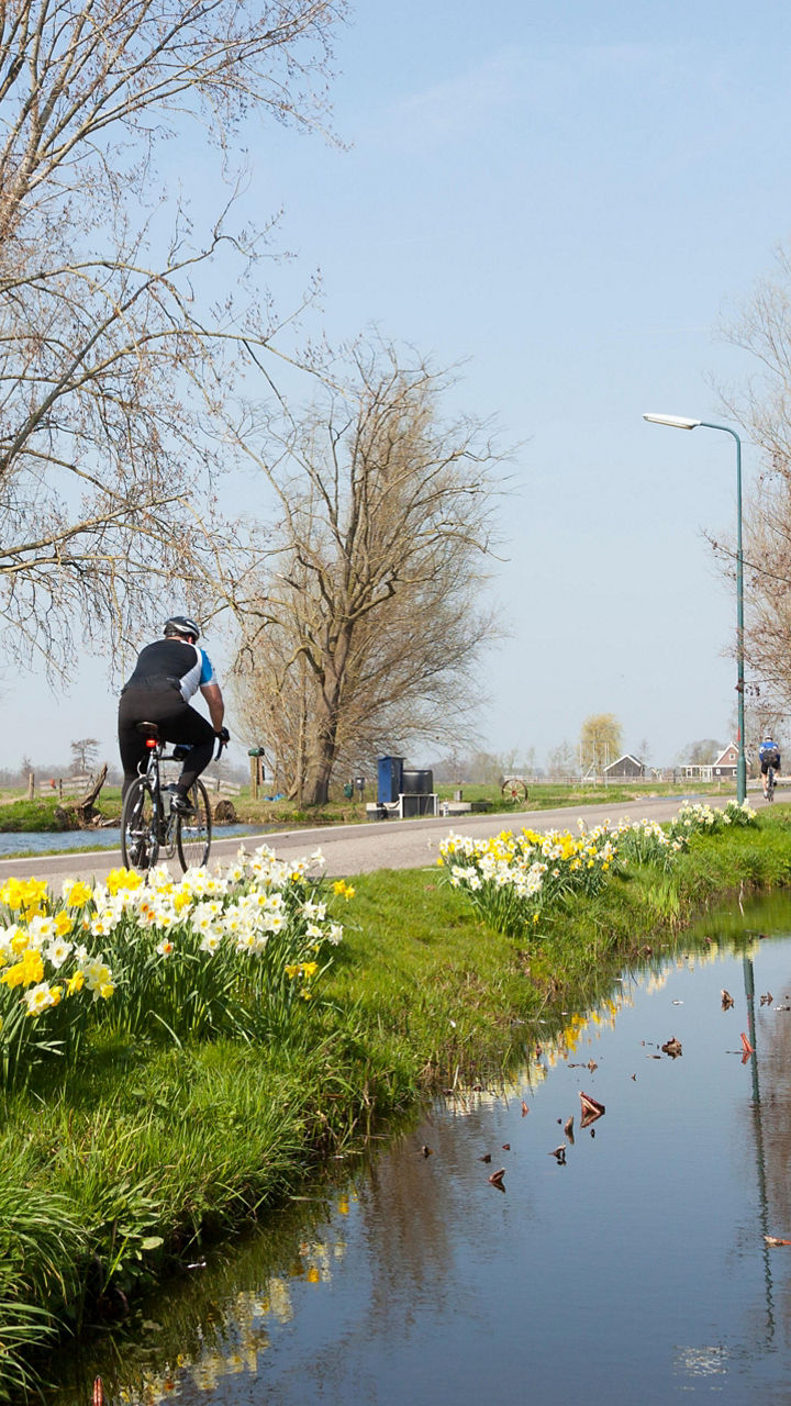Cyclist on rural path with spring blossoms