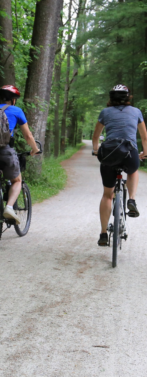 Two cyclists on forest trail