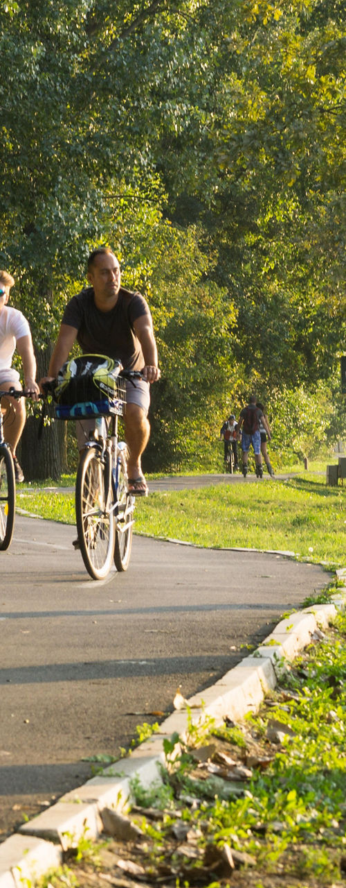 Group cycling on sunny park trail