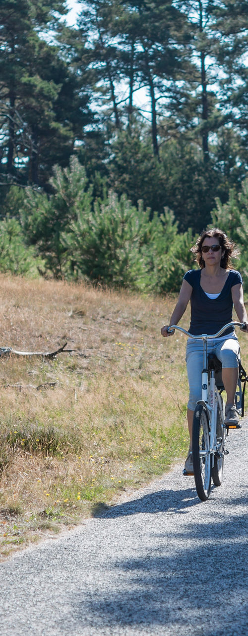 Group cycling on forest trail