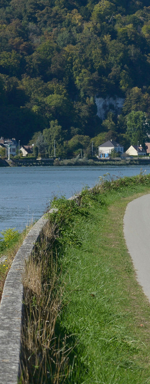 Couple cycling along scenic riverside path
