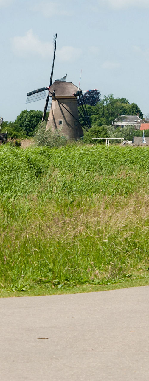 Cyclists on path near Dutch windmills