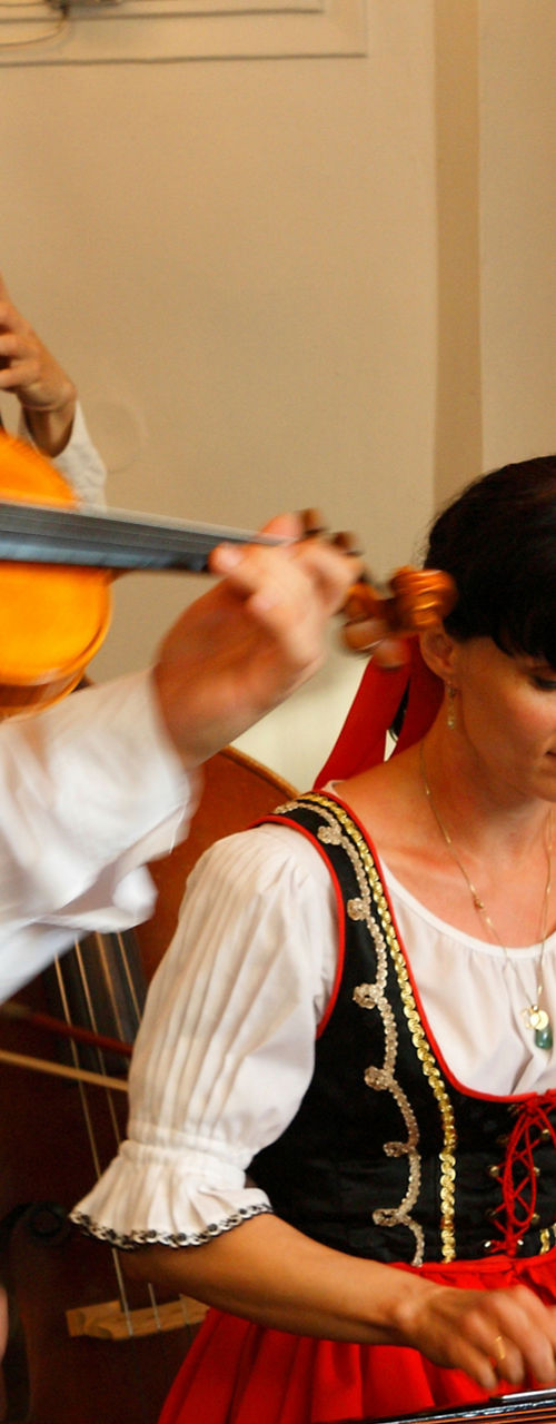 Traditional folk musicians performing indoors