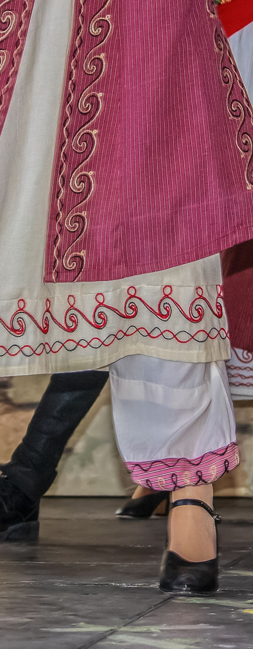 Traditional dancers in embroidered costumes