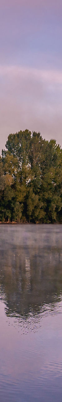 Serene river landscape with morning mist