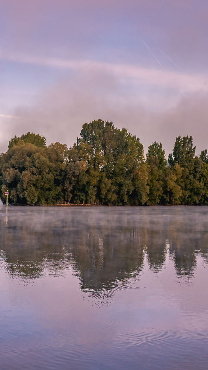 Serene river landscape with morning mist