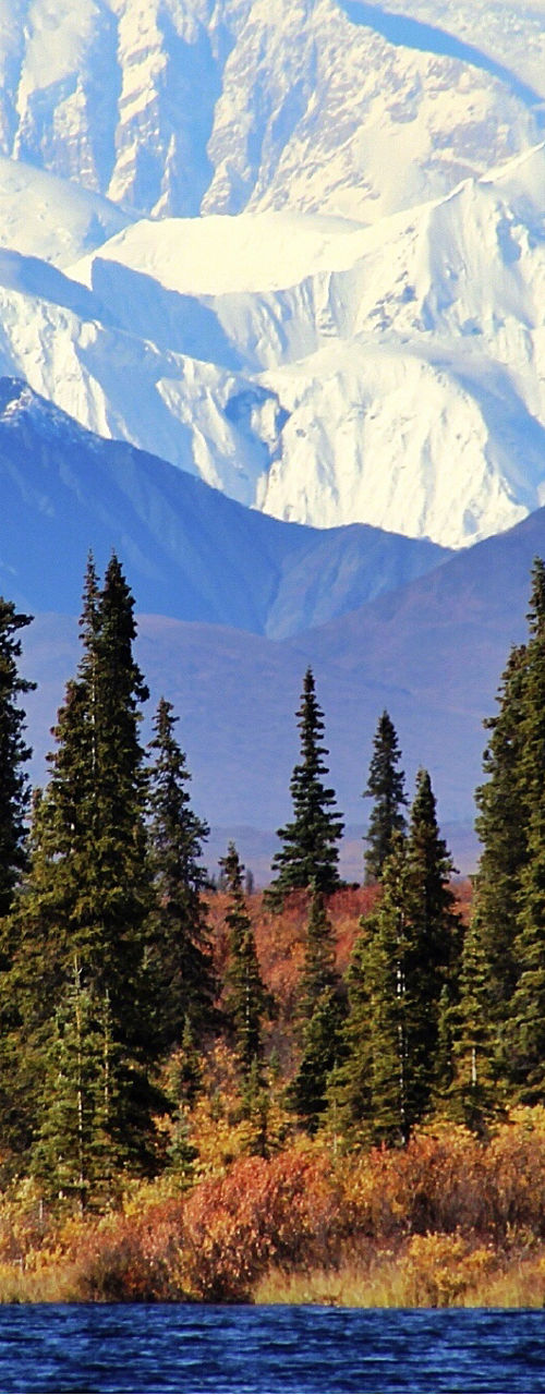 Snow-capped mountain with forest and lake