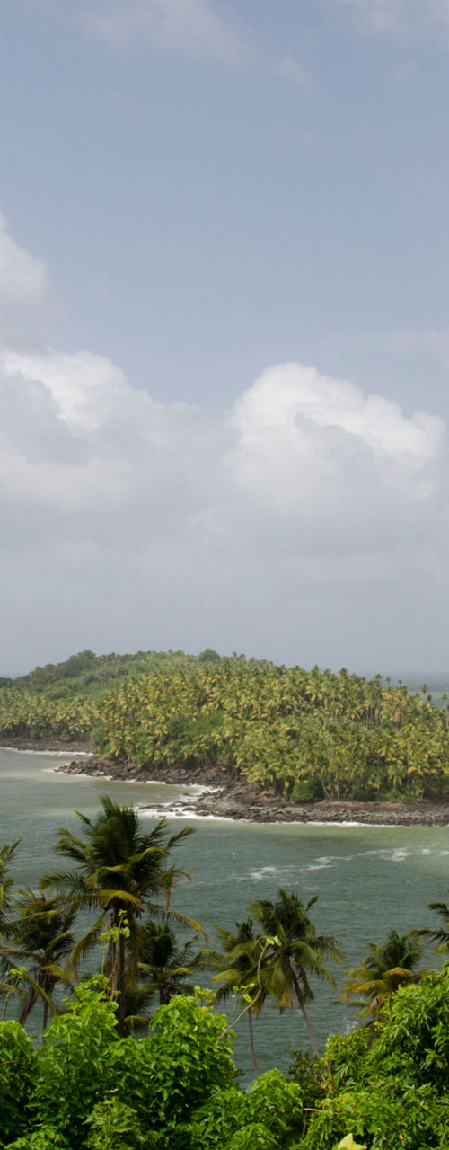 Tropical island surrounded by lush greenery