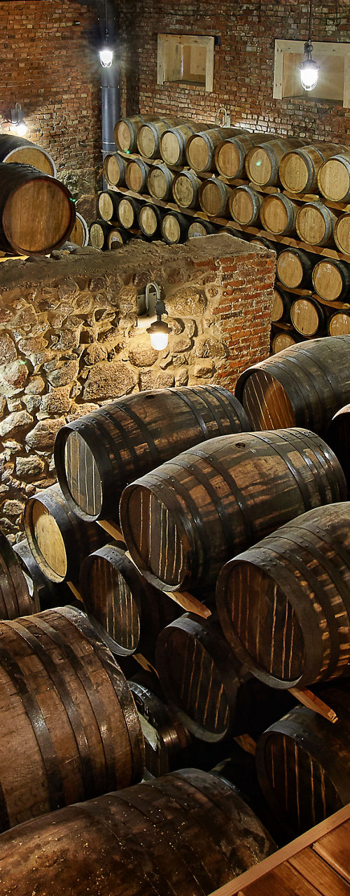Rustic cellar with stacked wooden barrels