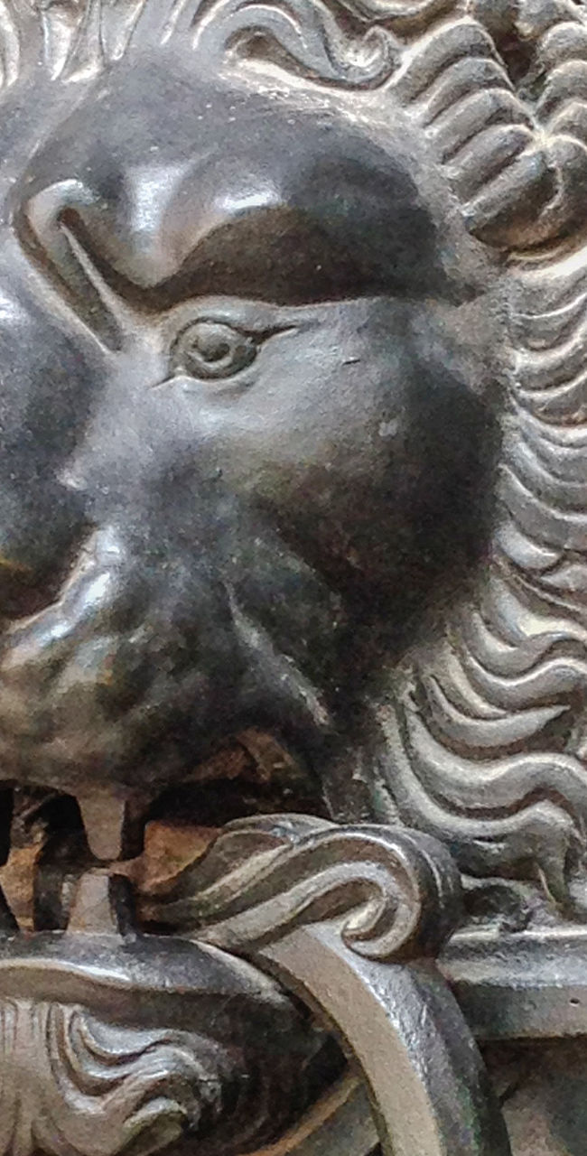 Ornate lion door knocker on metal panel