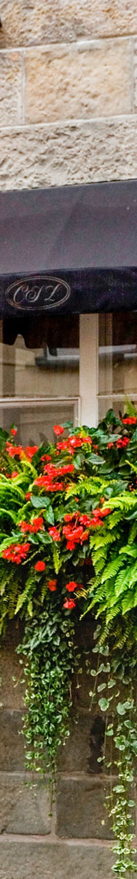 Charming storefront with vibrant floral decor