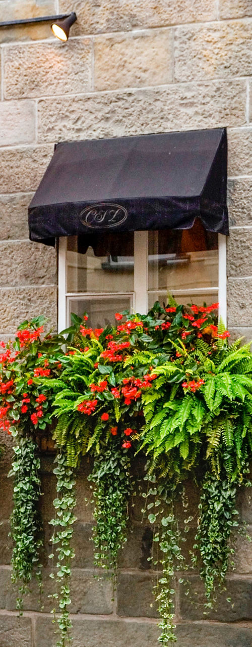 Charming storefront with vibrant floral decor