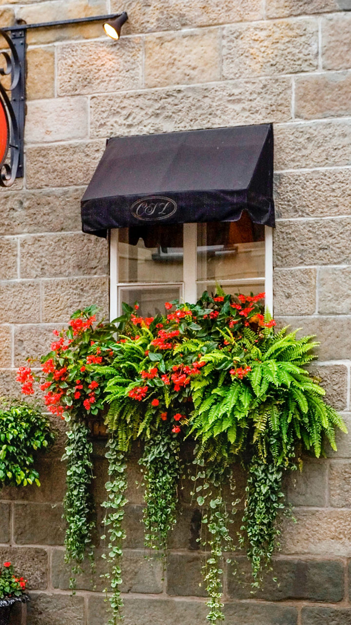 Charming storefront with vibrant floral decor
